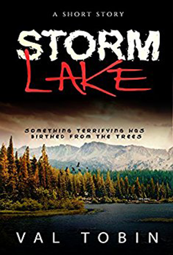 Storm Lake by Val Tobin